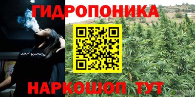 jwh Мариинск