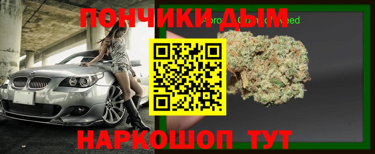 Марихуана сатива  Конопля сатива  Вход с VPN  Выборг  Бошки марихуана конопля  Канабис индика 